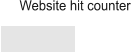 Website hit counter